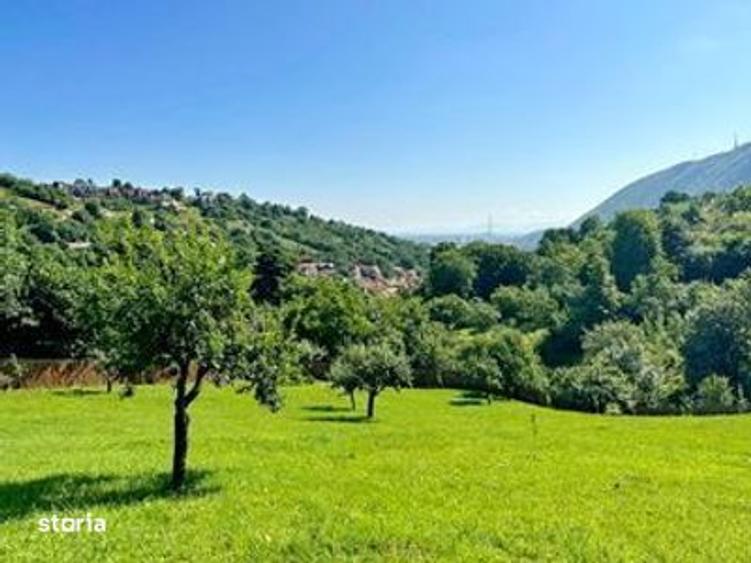 TEREN UNIC in Schei cu cabana - 9