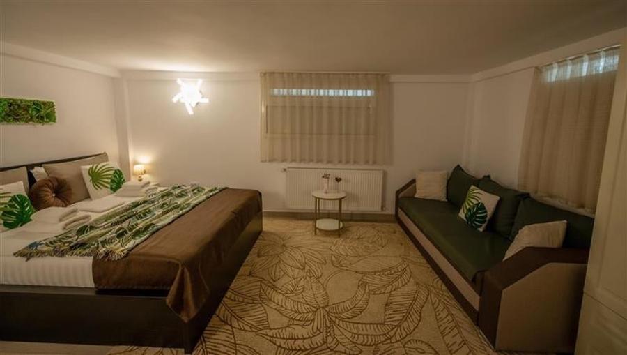 Pensiune Ultracentrala in Iasi - Investiție Profitabilă - 1