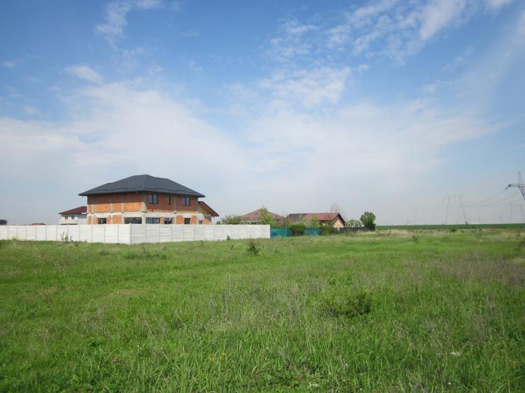 Domnesti-Crengutei - 7