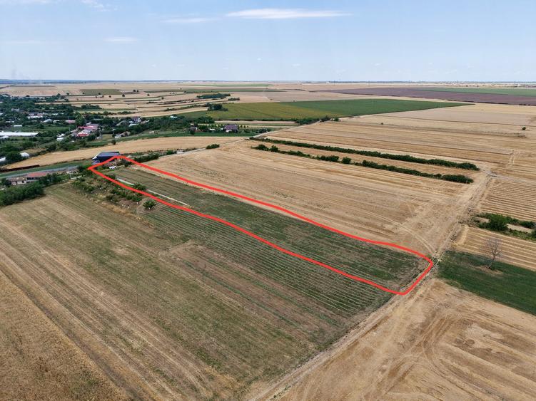 Teren Budeni - Delta Comana - Giurgiu - 3