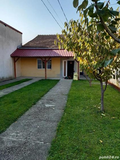 Casa de inchiriat Timisoara - 13