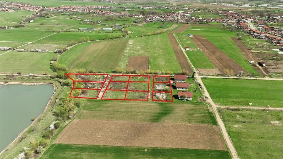 RECO , teren intravilan, Ineu,Bihor - 3