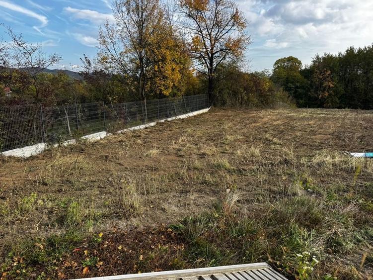 Vand 2 loturi de teren la Vladesti - 8