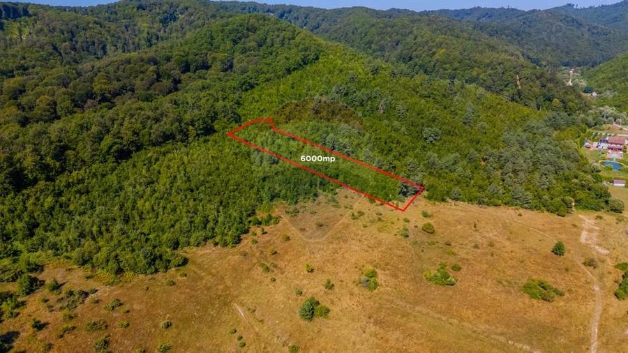 Teren 6,000mp Crizbav / Strada principala - 2