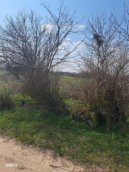 Teren intravilan - 3