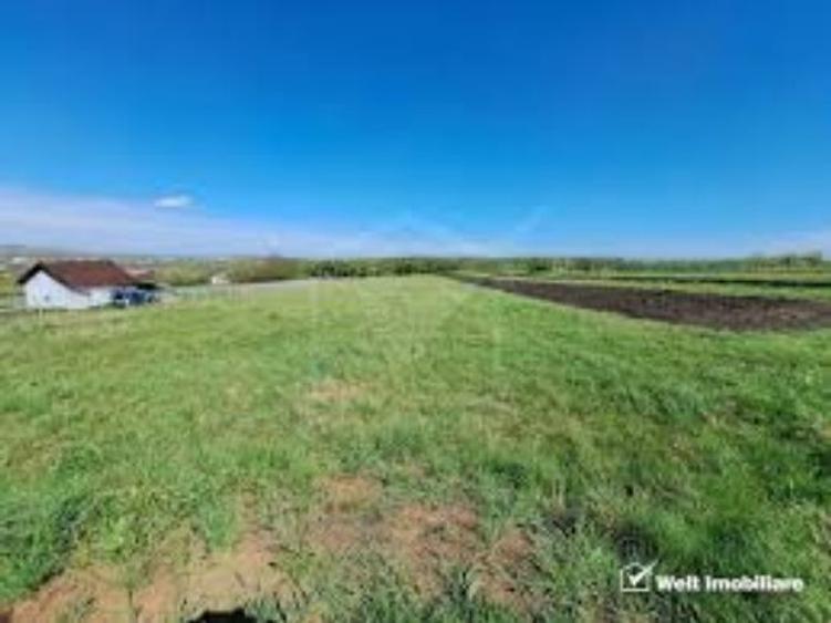 9,90 ha teren agricol la Goiesti judetul Dolj - 1