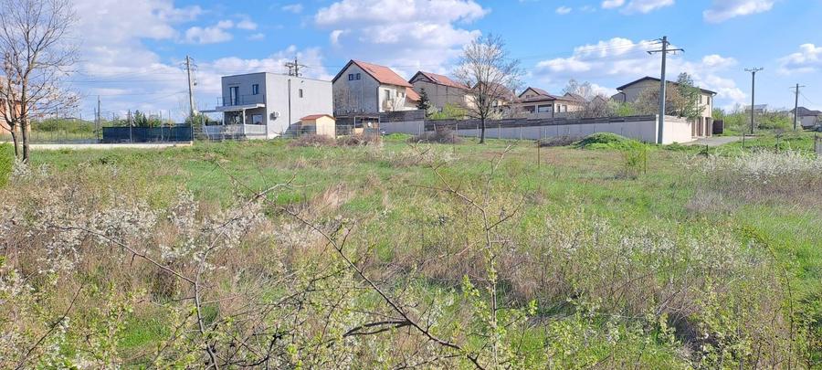 Mogosoaia, teren 792 mp, vedere la lac, utilitati, statie STB la 750m - 1