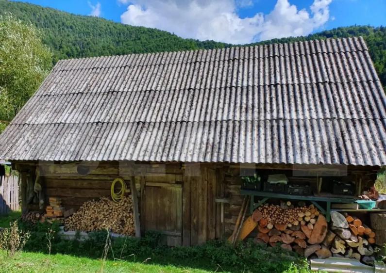 Teren intravilan 3015 mp, Garda de Sus, Ghetarul Scarisoara - 8