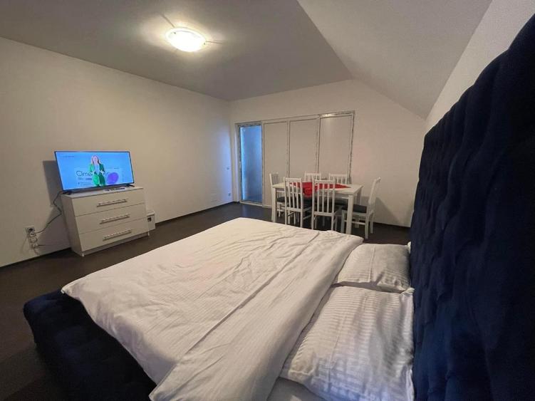 Apartament 2 Camere  în Bușteni  - Panoramă spectaculoasă spre munte - 7