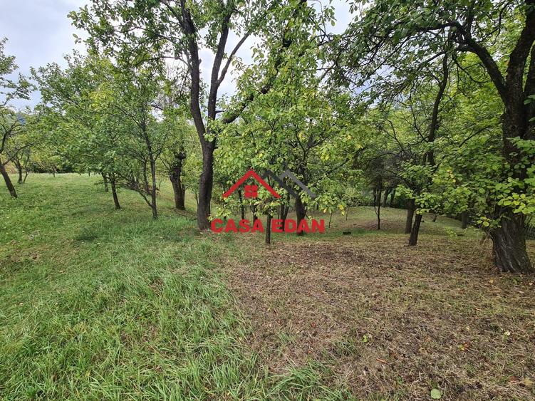 Teren intravilan in Sotrile--1671m--13e - 9