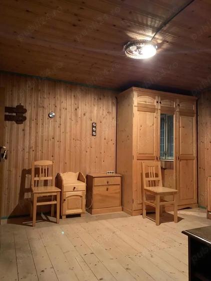 Vand cabana in statiune Muntele Baisorii - 9