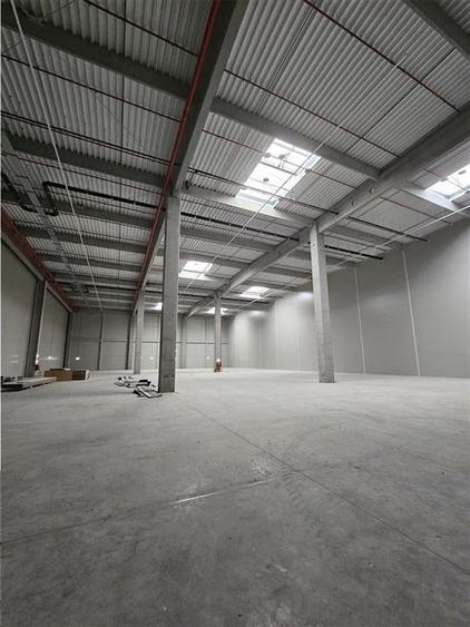Spatiu Industrial - 6200 mp - Logistica - Productie - Depozitare - Distributie - 17
