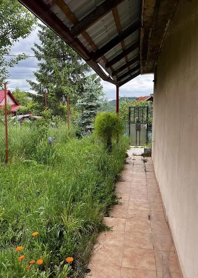 Casa cu teren generos - Podgoria - IMOBIHOR - 2