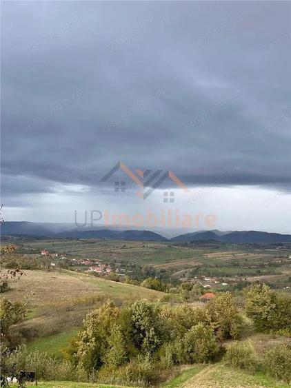 TEREN | 9341 MP | BALNACA GROSI | BIHOR - 3