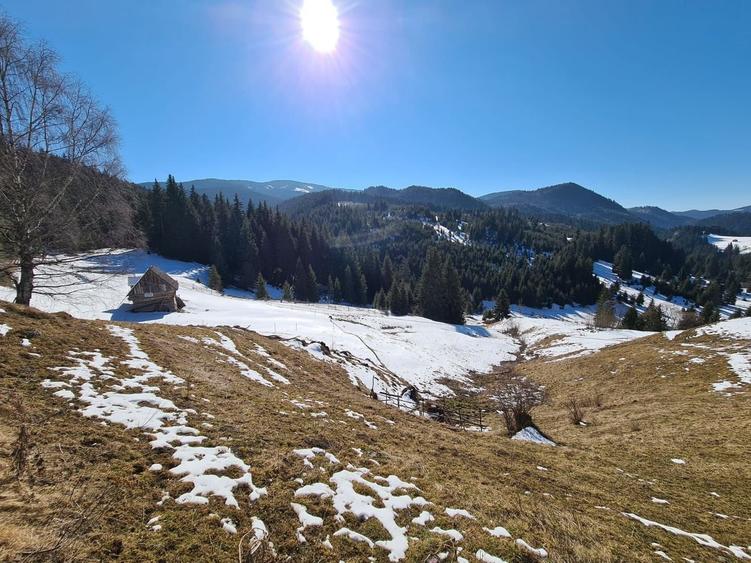 Teren situat langa padure de Vanzare - 1