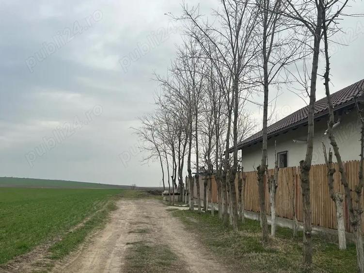 Vand teren comuna Branistea - 6