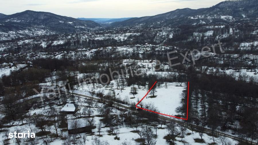 Teren de 4377 mp, în Bradu