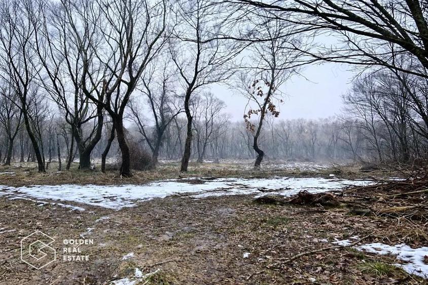 Teren 3.900 mp, Lipova ?oimo? - 2