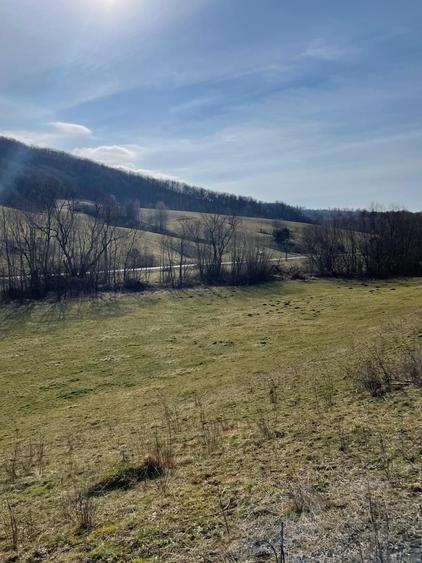 Vand teren 4200 mp ideal pt casa de vacanta in Varciorog - 8