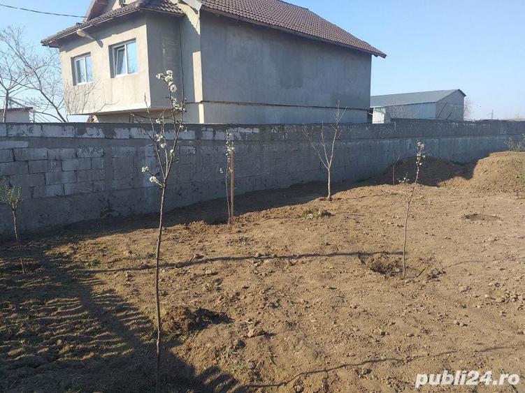 Vinzare teren intravilan - 5