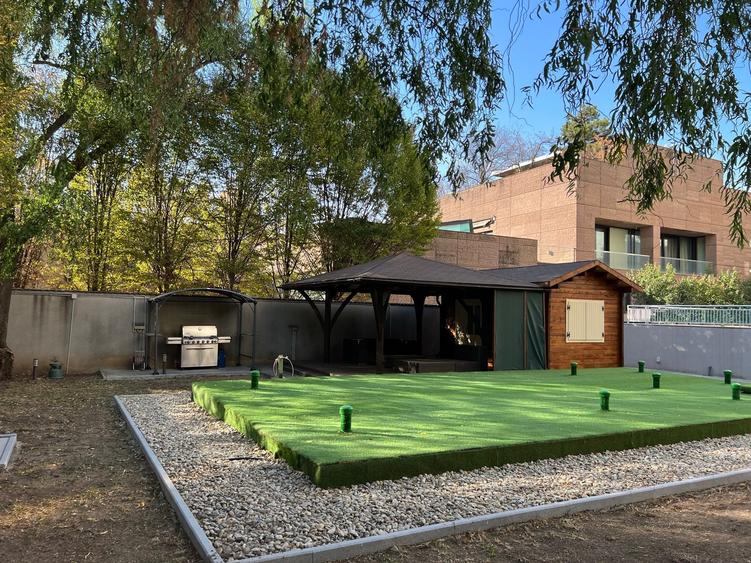 Penthouse parc Herastrau sos Nordului + 400 mp curte cu piscina - 16