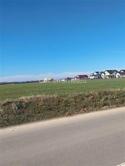 Teren in Ciolpani oportunitate investitie, pret bun