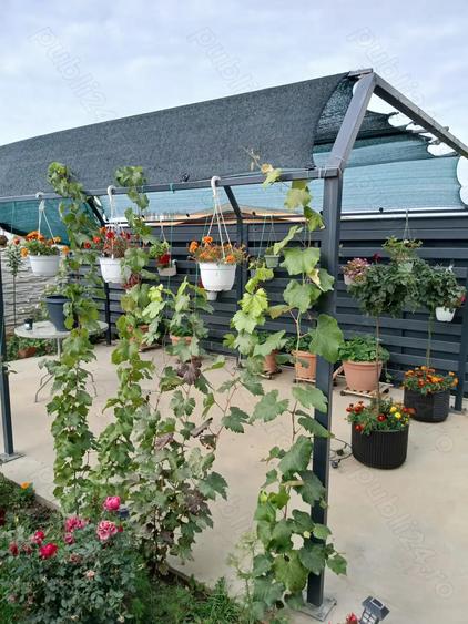 Casa de vanzare Magnolia - 1