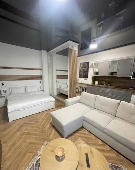 Apartament cu o camera, 36 mp, zona centrala - 3