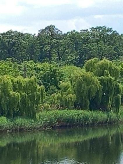 Teren 520mp, pe str. "Trei Lacuri", 90E/mp - 7