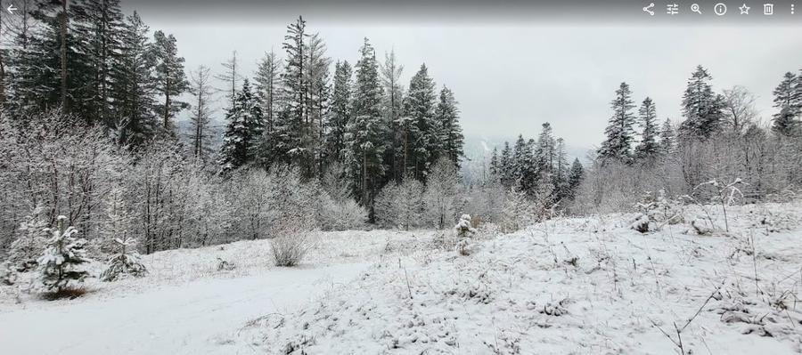 Teren Sinaia/Cumpatu - 7