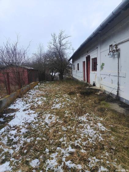 De vanzare sau de inchiriat cladire comerciala situata in Berchiesu - 3