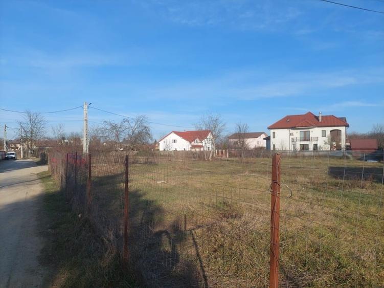 1570 mp Teren de vanzare in Mogosoaia - 7