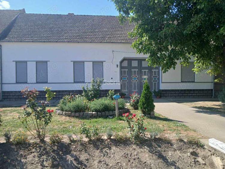 Vand casa in localitatea Bulgarus, jud, Timis. Suprafata teren 2019 mp.Suprafata constructii 420mp. Vand casa in localitatea Bulgarus, jud, Timis. Suprafata teren 2019 mp.Suprafata constructii 420mp.