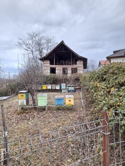 Vand constructie in zona montana ,Corbi ,jud Ag.Facilitati,apa curent ,gaze naturale ,asfalt la poar - 6