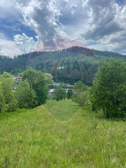 Teren 6,865mp Voronet / Gura Humorului / Bucovina - 26