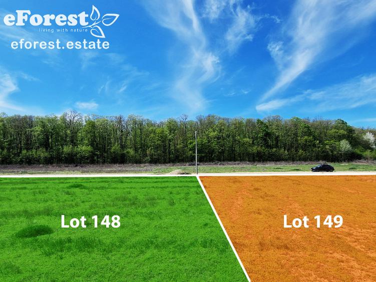 Terenuri premium de vanzare, langa padure, acces asfaltat din DN1A - 9