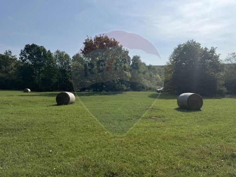 Teren 10.000 mp Calatele – Apuseni, langa rau, ideal investitie turism - 7