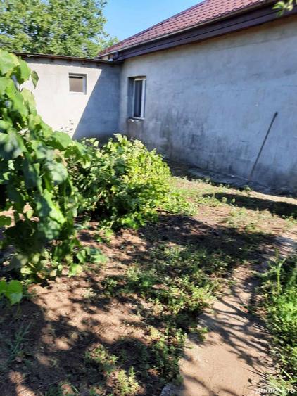 Imobiliare casa de vanzare - 1