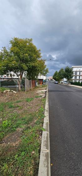 Teren constructii de vanzare zona Trcatorul - 7