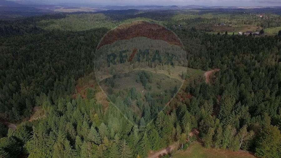 Teren extravilan parcelabil Călățele Pădure, zona Dealu Negru - 17