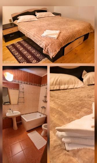 Cabana La Breazu Trambulina & Biliard | 3 bai - 2 dormitoare - 11