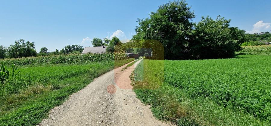 Teren intravilan 4.133 mp cu dublă deschidere – Girov, Neamț | Toma Imobiliare - 1