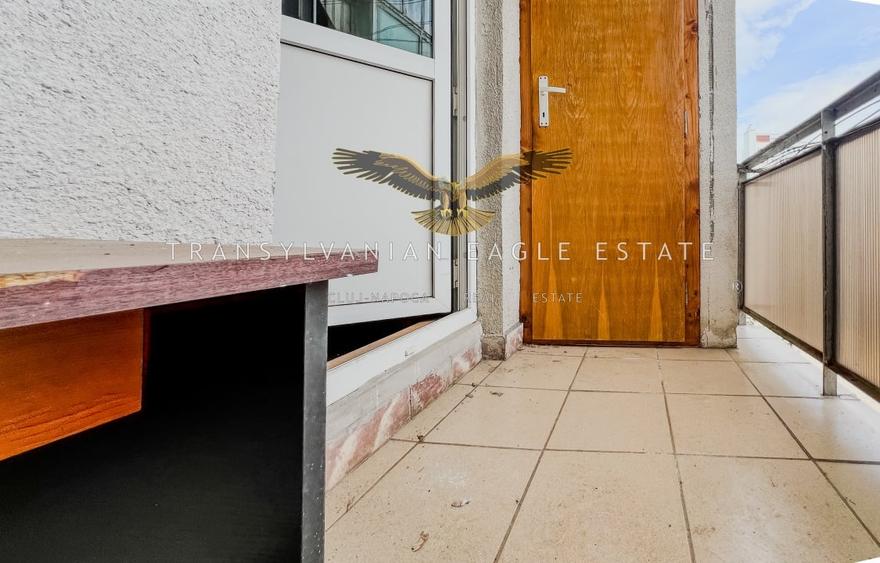 Locuinta decomandata cu 2 camere|situata pe A. Vlahuta|Grigo - 11