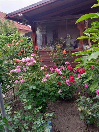 Bacau ,  Vila, la 5 minute de Centrul Orasului - 14