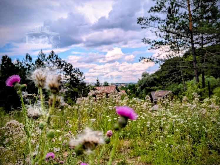Teren intravilan pentru constructie casa in Cheile Baciului - 1