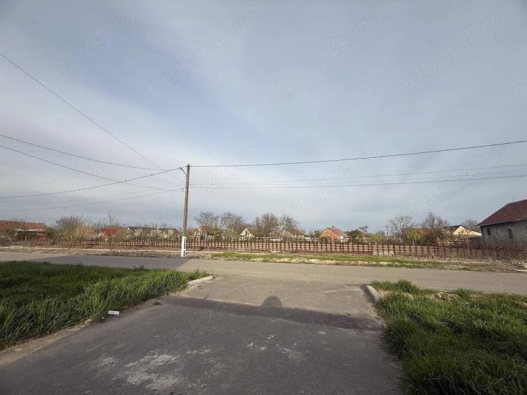 Teren de 1658 mp, în Iecea Mare