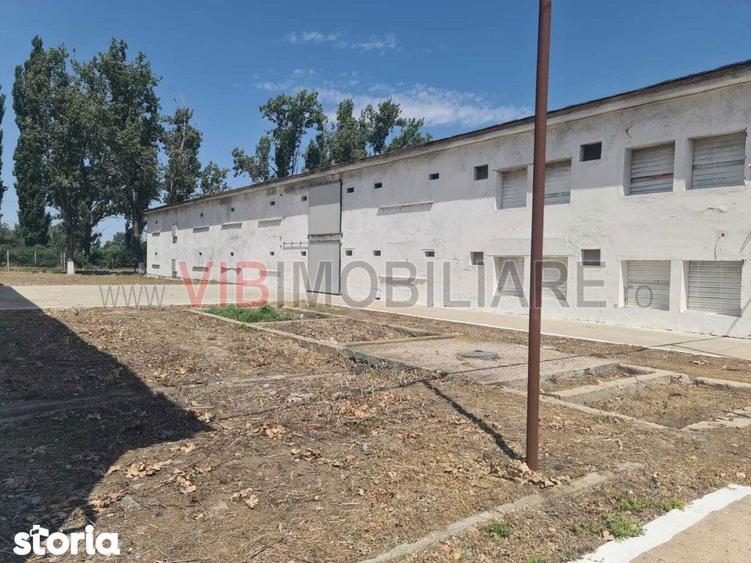 Teren de 35000 mp, în Funcționarilor