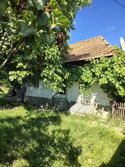 Casă cu 2 camere în Zagon