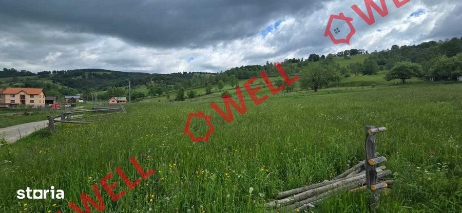 Teren de 3200 mp, în Barcani