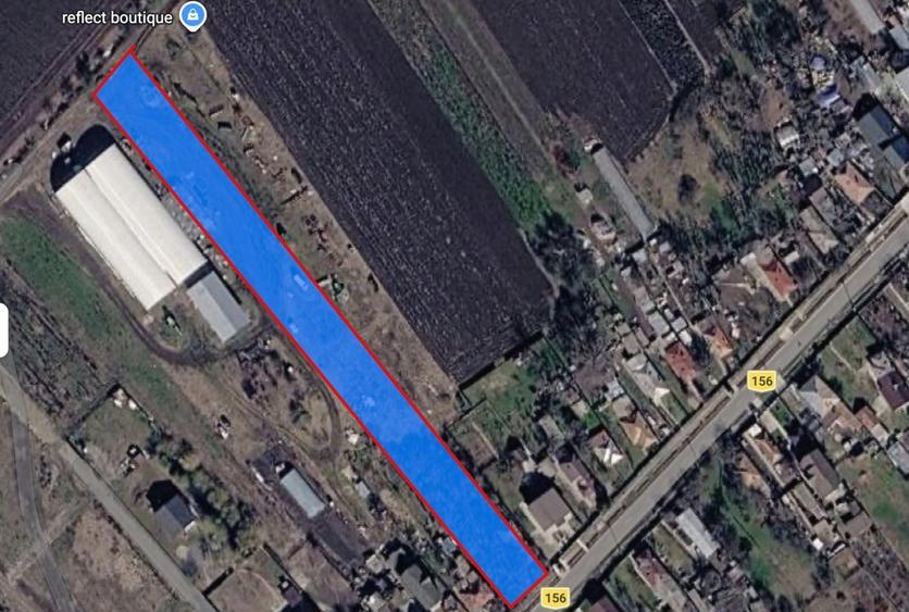 4500 mp Tartasesti Baldana intre case, cu gaze si curent - 1